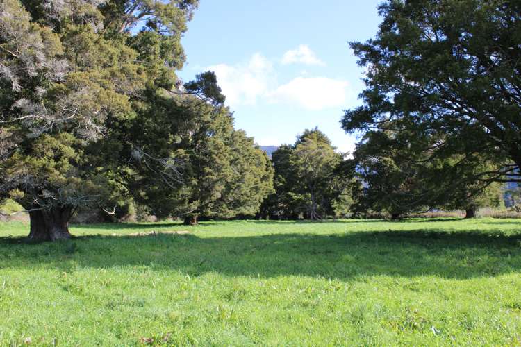 368 Hamama Road Takaka_7