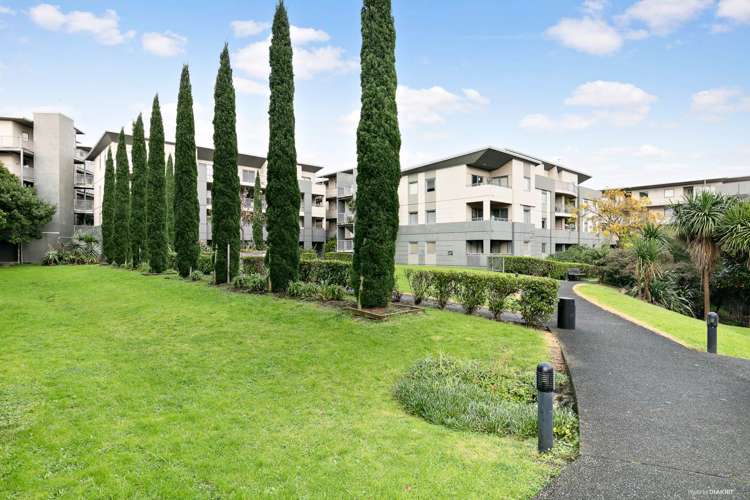 3d/12 Morning Star Place Mount Albert_11