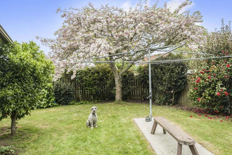 275 Lamb Street Leamington_15