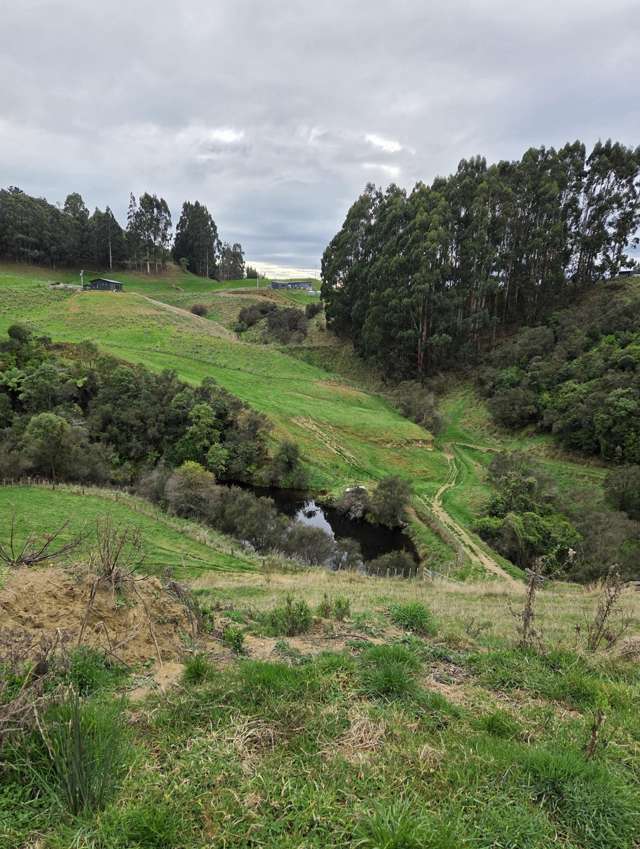 515 Zigzag Road Ashhurst_3