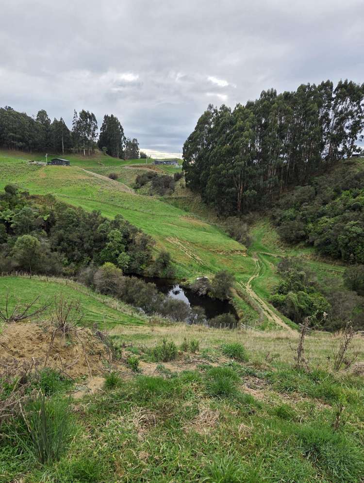 515 Zigzag Road Ashhurst_2