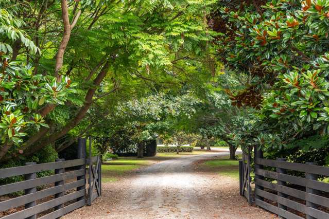 116 Tuapiro Road Tahawai_4