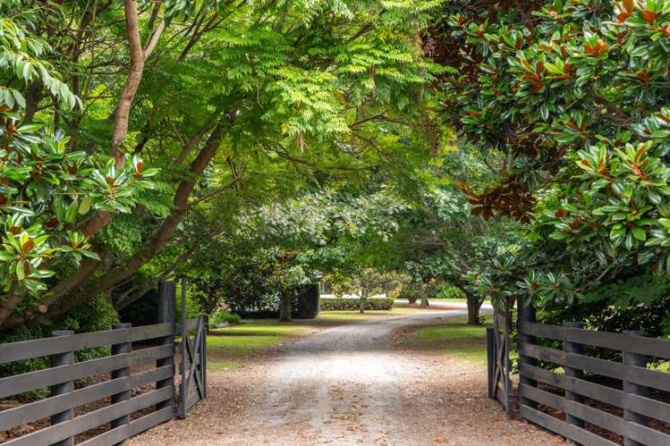 116 Tuapiro Road Tahawai_4