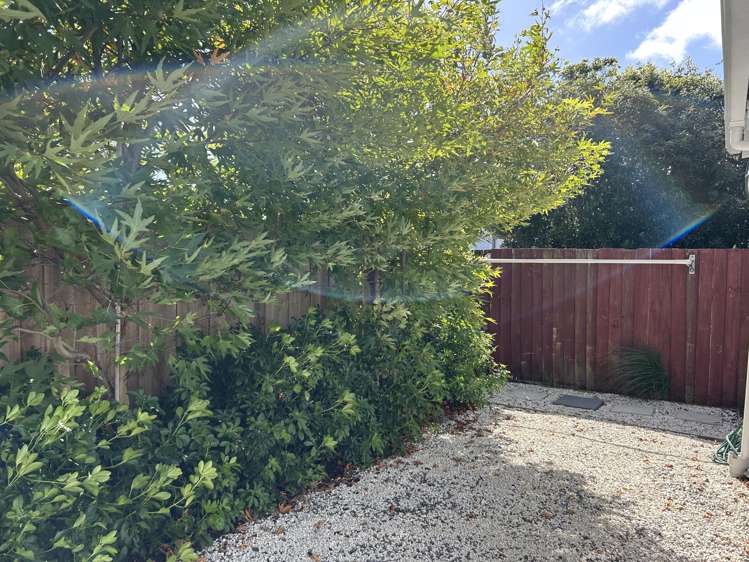 73 Buckleys Road Linwood_9