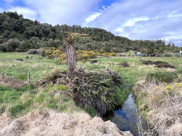 Stafford Loop Road Hokitika_9