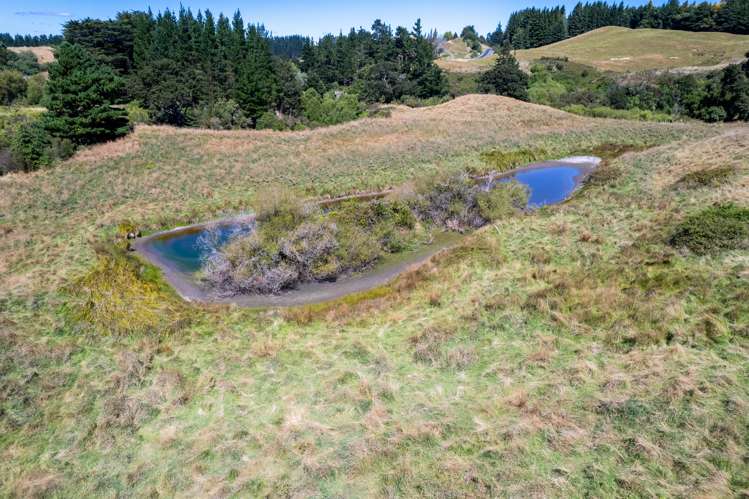 75920 State Highway 2 Norsewood_7