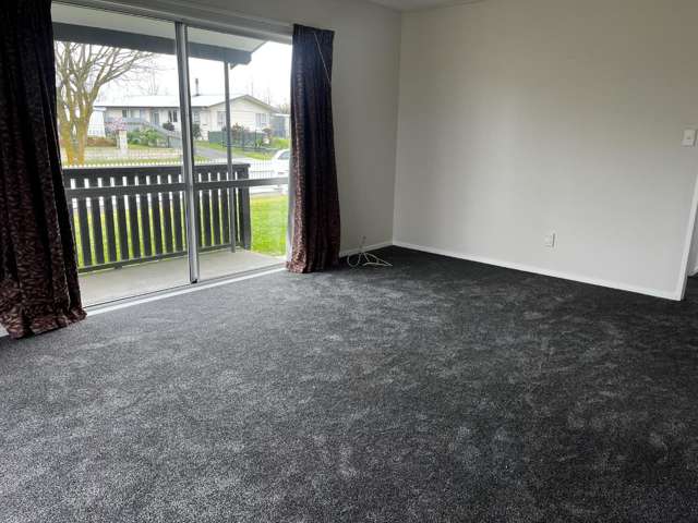 20 Bangor Street Flaxmere_2