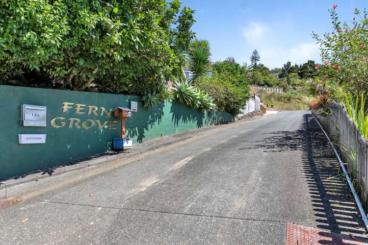 12 Magnolia Avenue Kamo_19