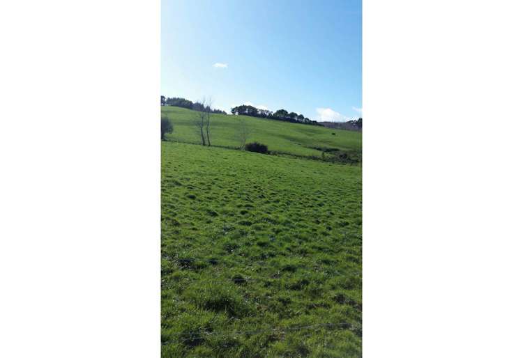 462 Kahikatea Flat Road Waitoki_2