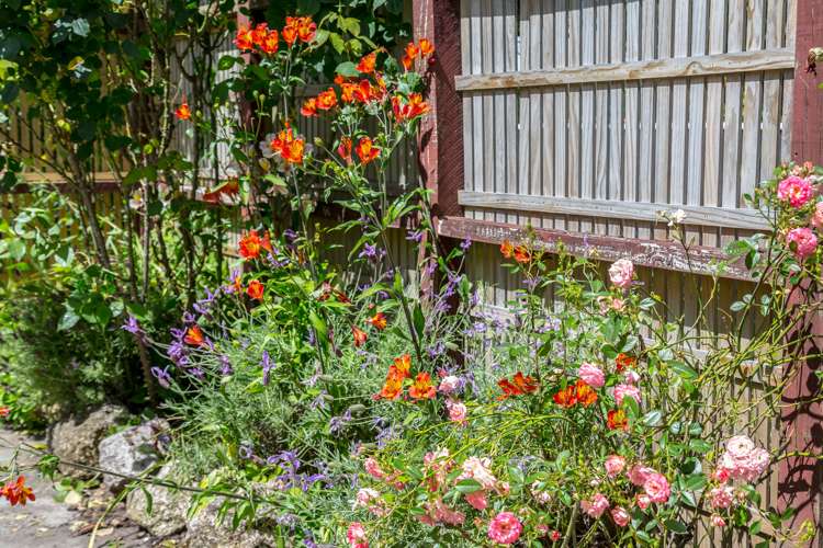 18 Wood Street Greytown_18