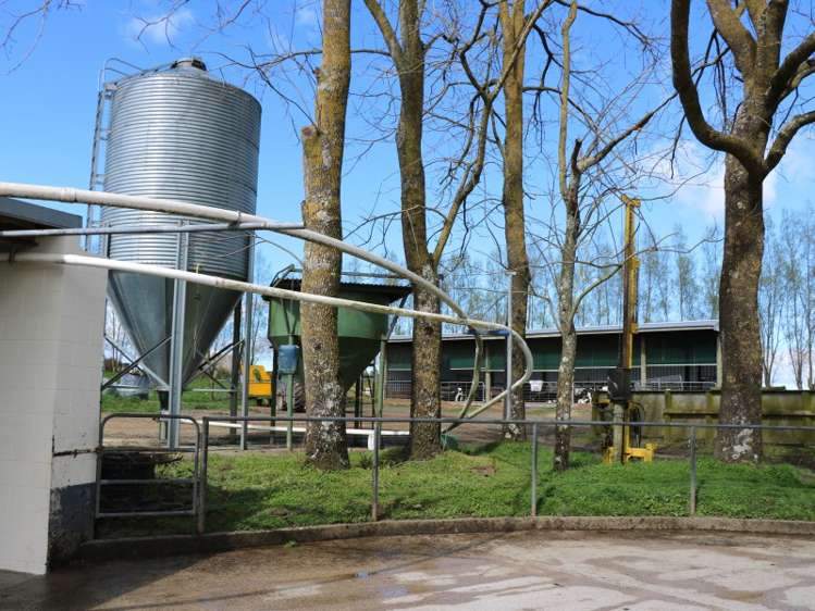 2237 Old Taupo Road Putaruru_18