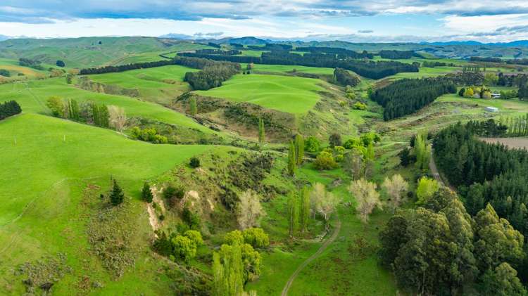 1241 Blythe Road Domett_9