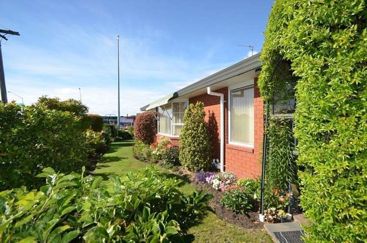 222 Walnut Avenue Ashburton_9