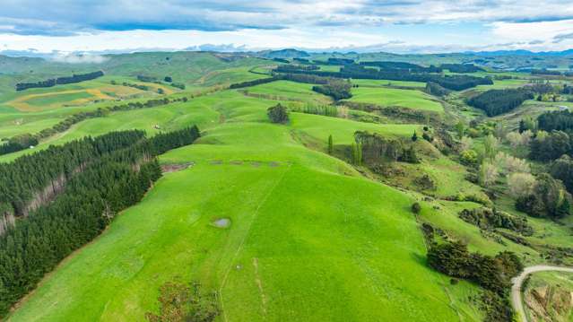 1241 Blythe Road Domett_1