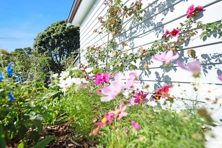 8 Kaka Street Waikanae_25