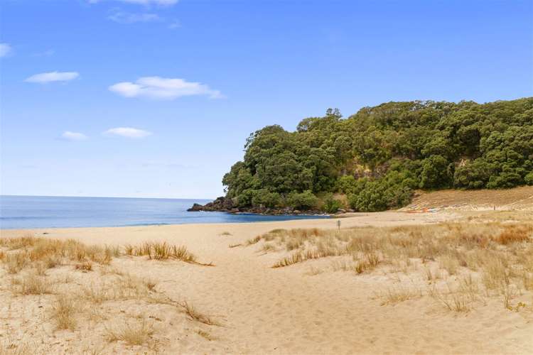 231 Onemana Drive Onemana_27