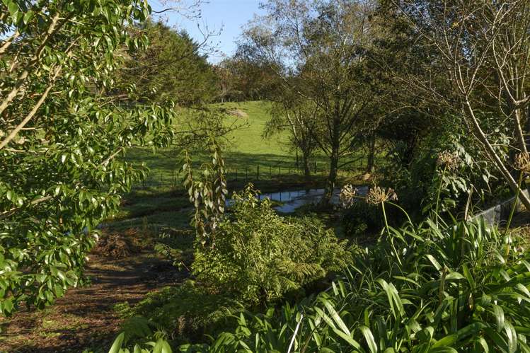 15 Leyland Road Whakamarama_14