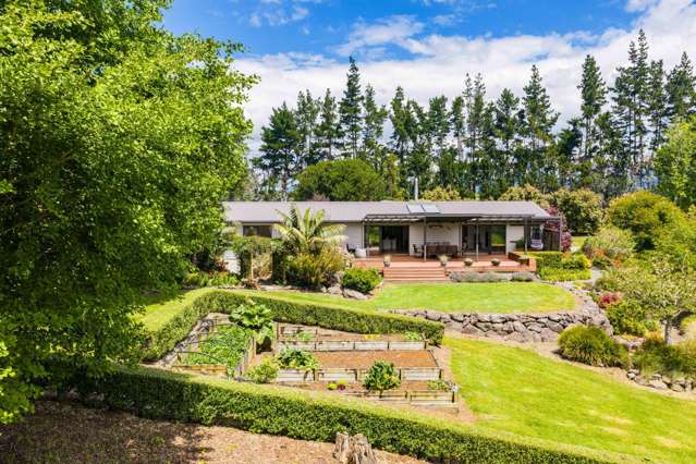 Premium lifestyle plus income