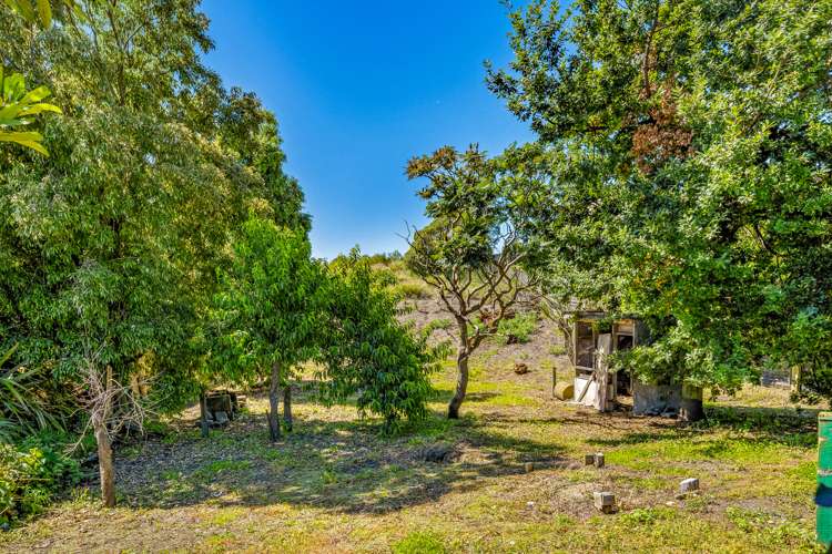 230 Beach Road Kaikoura_20