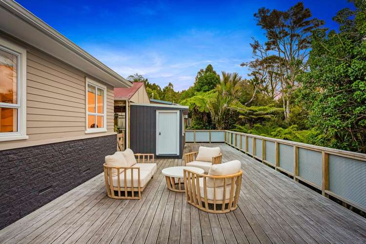 69 Shetland Street Glen Eden_19