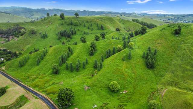 00 Hikumutu Road Taumarunui_2