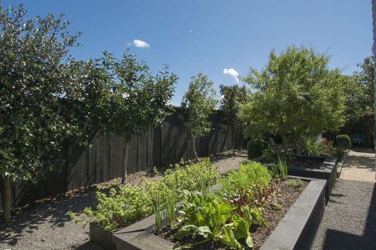 142 Palm Beach Boulevard Papamoa_16