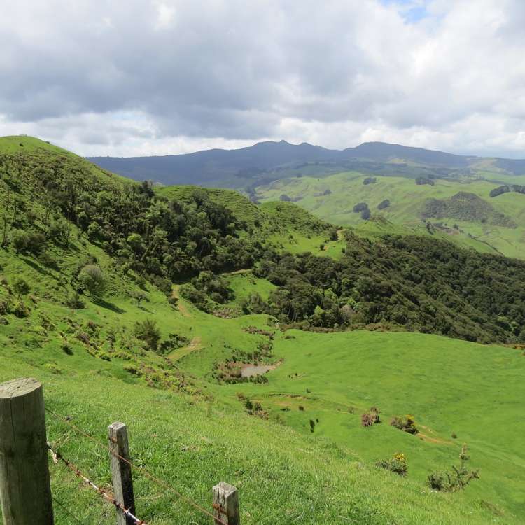 613 Pirongia West Road Oparau_9