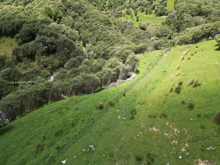 Trussells Track, Tawata Road Taumarunui_13