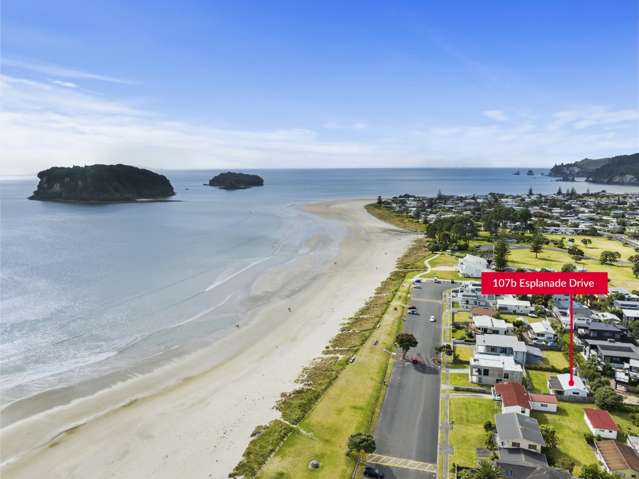 107b Esplanade Drive Whangamata_4