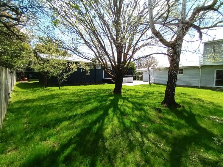 23 East Street Greytown_25