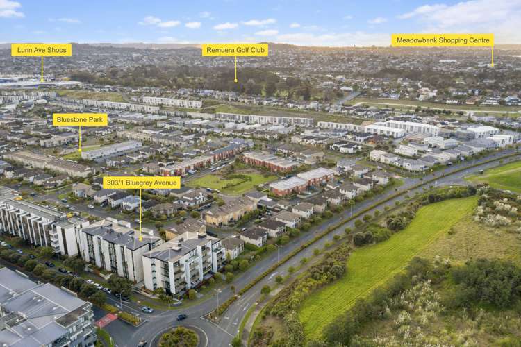 303/1 Bluegrey Avenue Stonefields_25