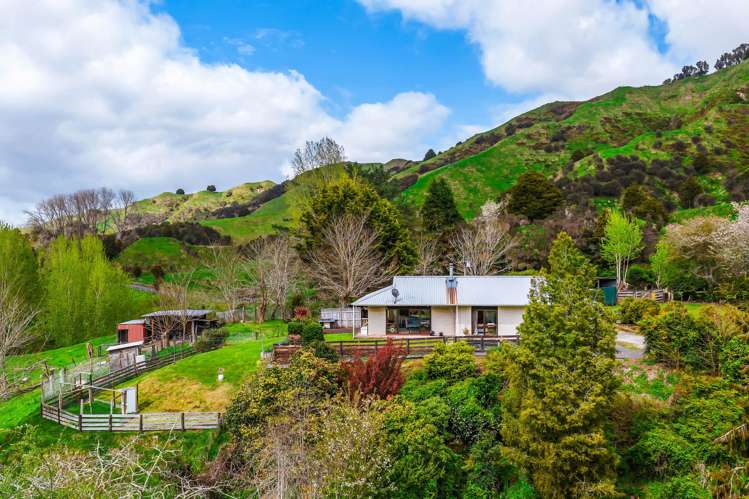 162 Okahukura Saddle Road Matiere_6