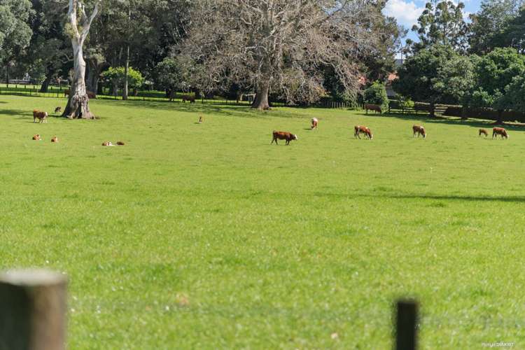 2f Golf Road Epsom_17