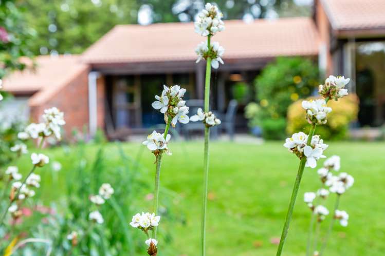 113 Lawford Road West Melton_28