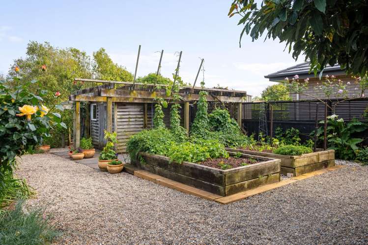 33 Haswell Place Huntington_36