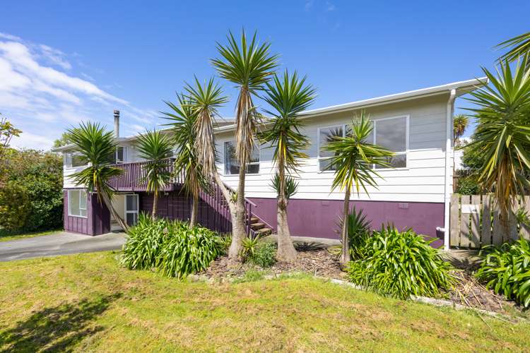 45 Armitage Road Wellsford_19