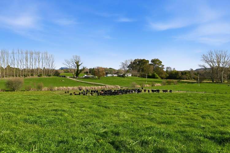 365 Halcrow Road Reporoa_30