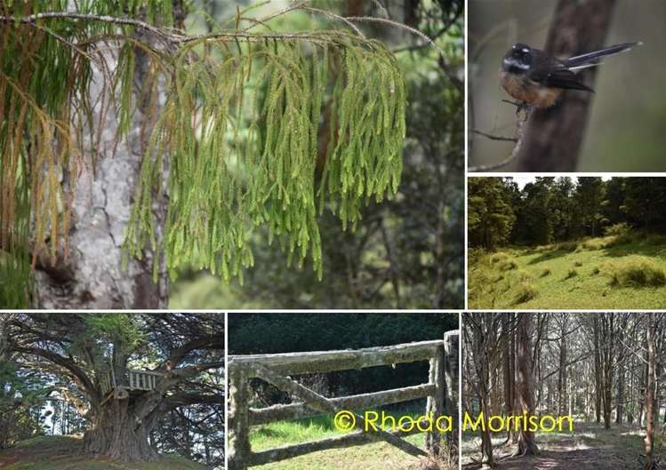 280 Central Road Mareretu_12