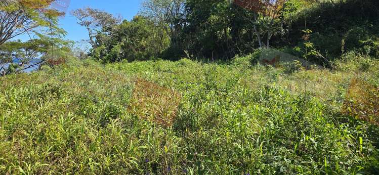 Lot Lot/1 Old Queens Road Sigatoka_7