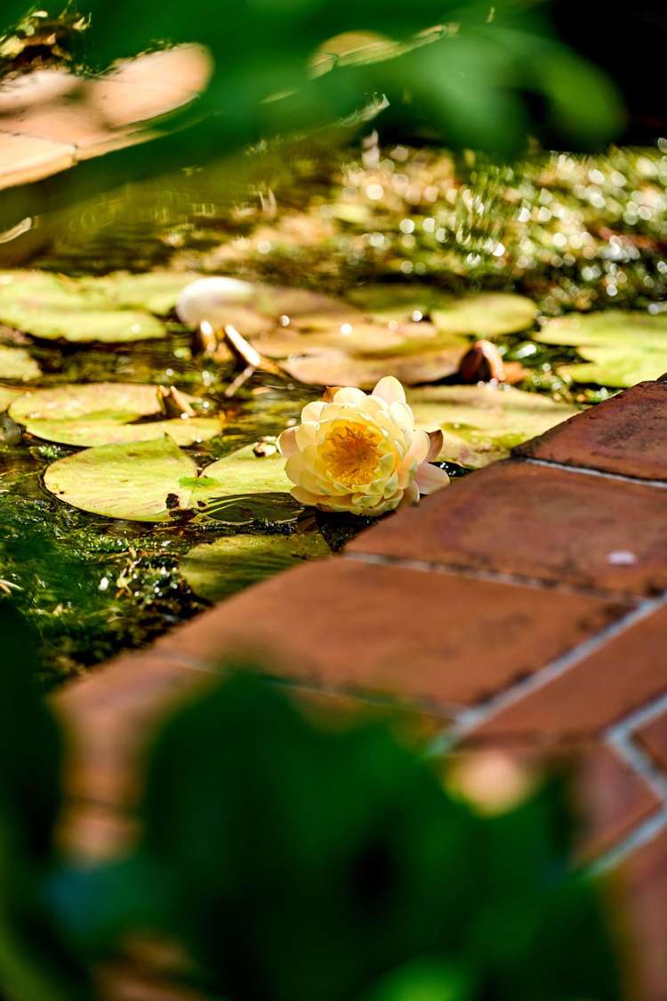 48 Hobson Street Thorndon_33