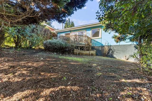 26 Hocken Street Kenmure_1