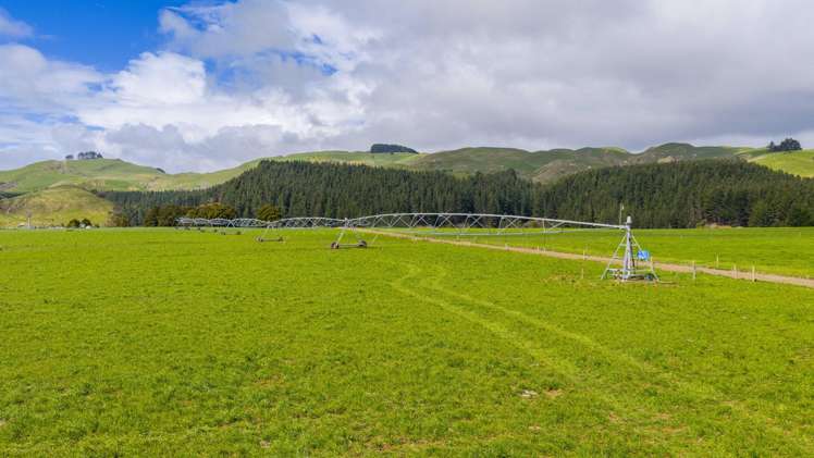 236 Tower Street Ormondville_8