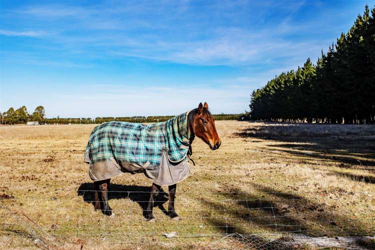 335 Main Race Road West Eyreton_8