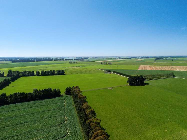 1710 Ealing Montalto Road Ashburton_28