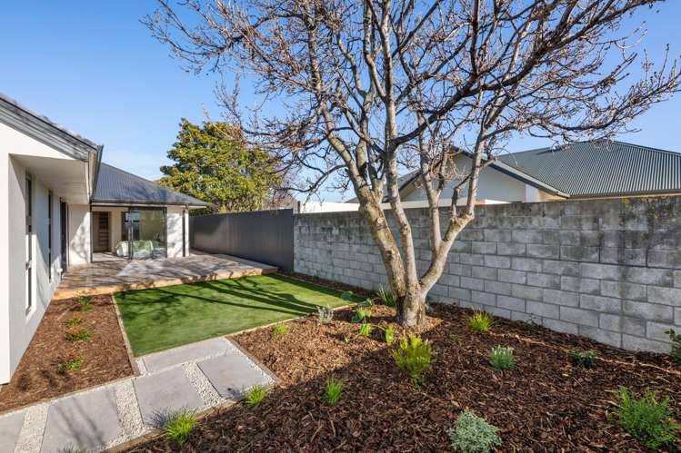 7B Colemans Road Springlands_19