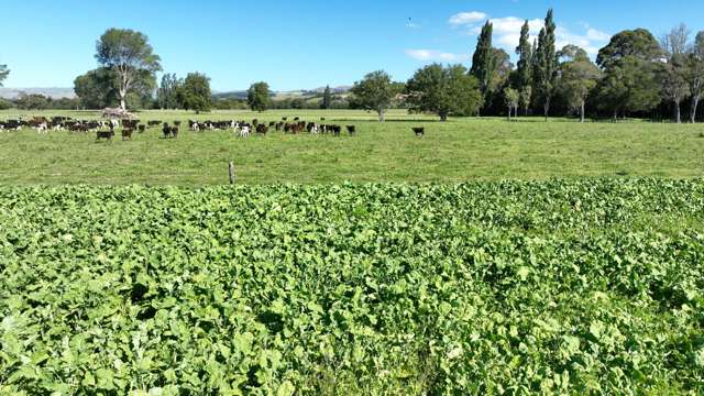 72 Taumata Island Road Taumata Island_3