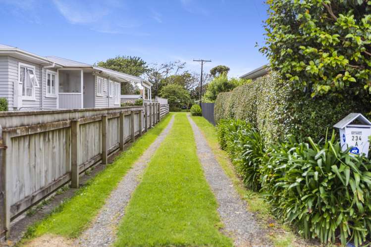 234A Omata Road Spotswood_10