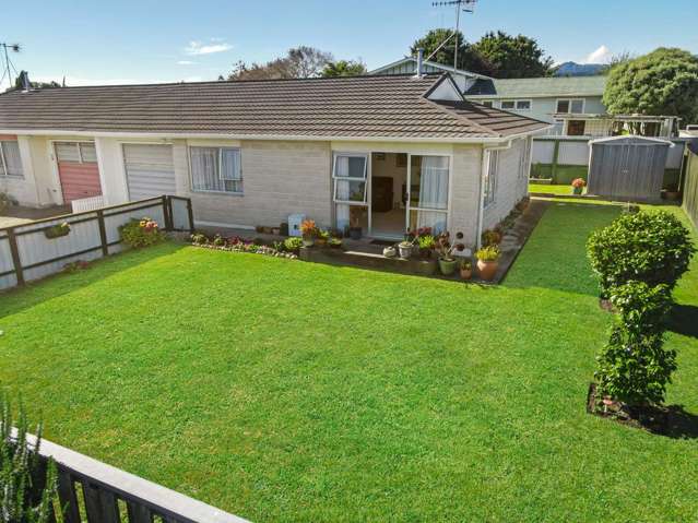 60e Winchester Street Levin_1