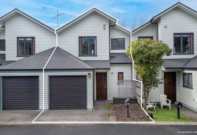 26/11 The Avenue Albany_2