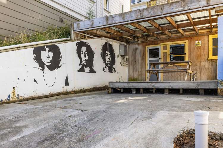 6 Macdonald Crescent Te Aro_11